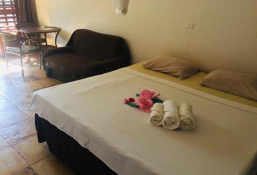 بنسيون Casa Martina