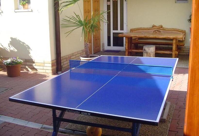 پانسیون Everlast