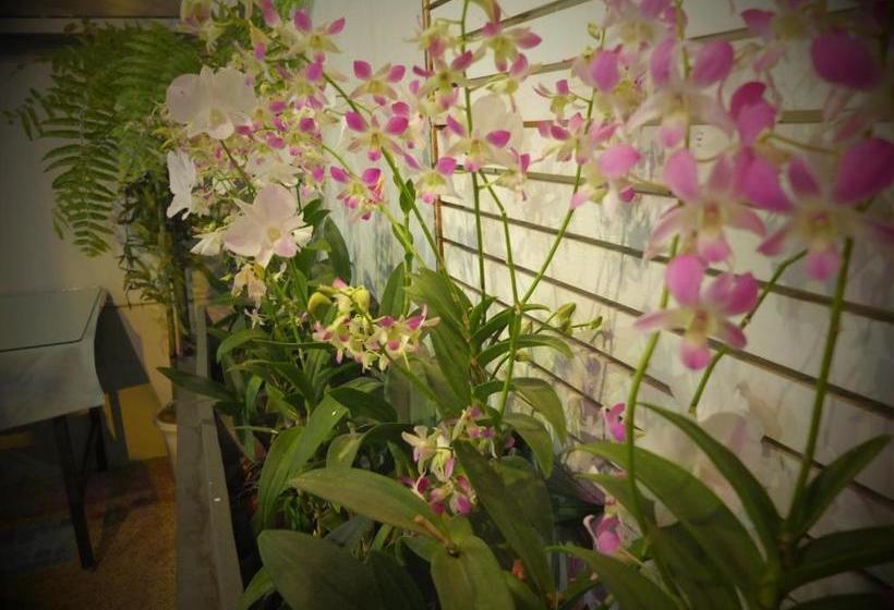 펜션 Fame Guesthouse