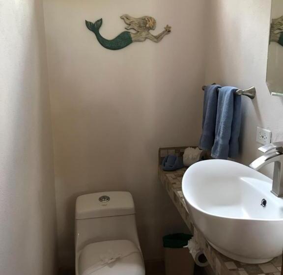 פנסיון Fenix Hotel   On The Beach