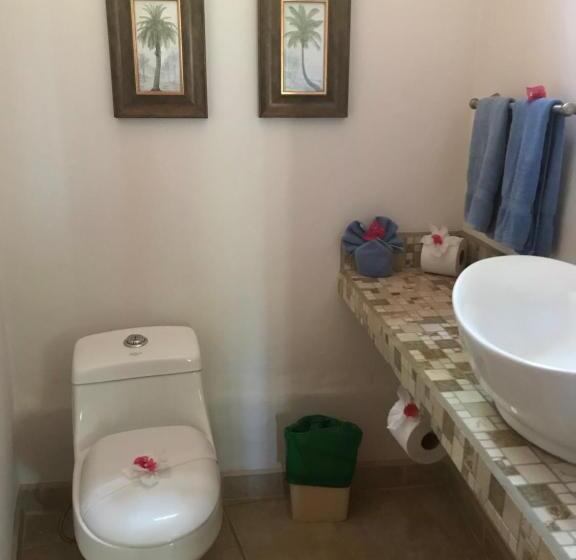 פנסיון Fenix Hotel   On The Beach