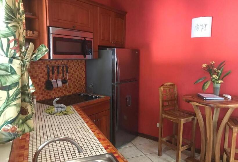 פנסיון Fenix Hotel   On The Beach