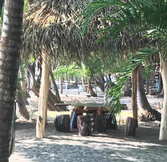 פנסיון Fenix Hotel   On The Beach