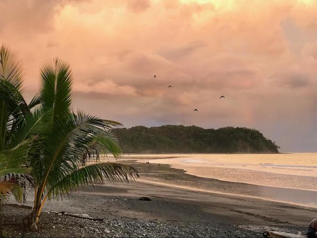 פנסיון Fenix Hotel   On The Beach
