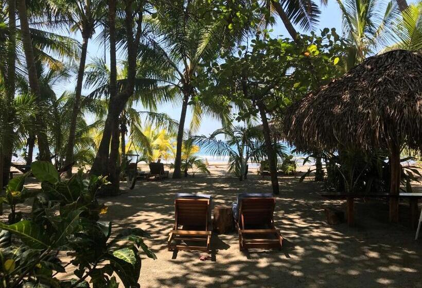 פנסיון Fenix Hotel   On The Beach