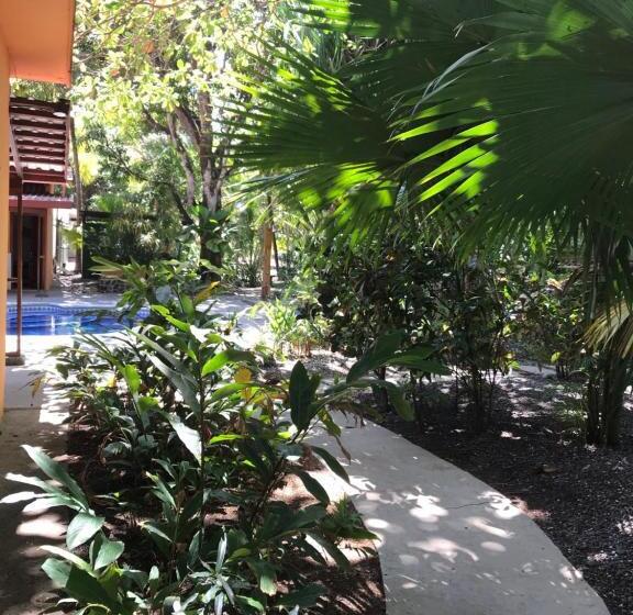 פנסיון Fenix Hotel   On The Beach