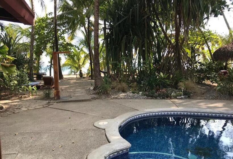 פנסיון Fenix Hotel   On The Beach