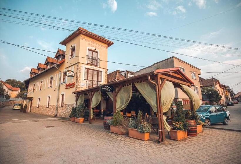 بنسيون Ferdinand Penzion