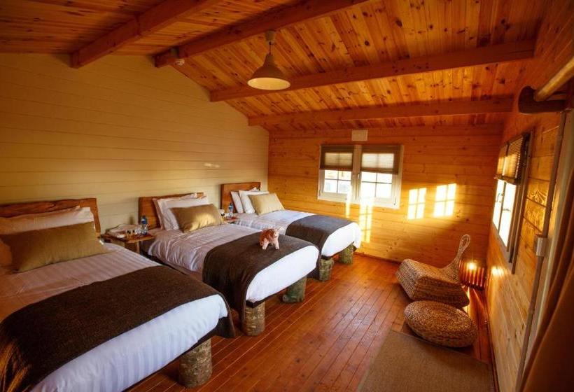 膳宿费 Giltraps Townhouse & Glamping