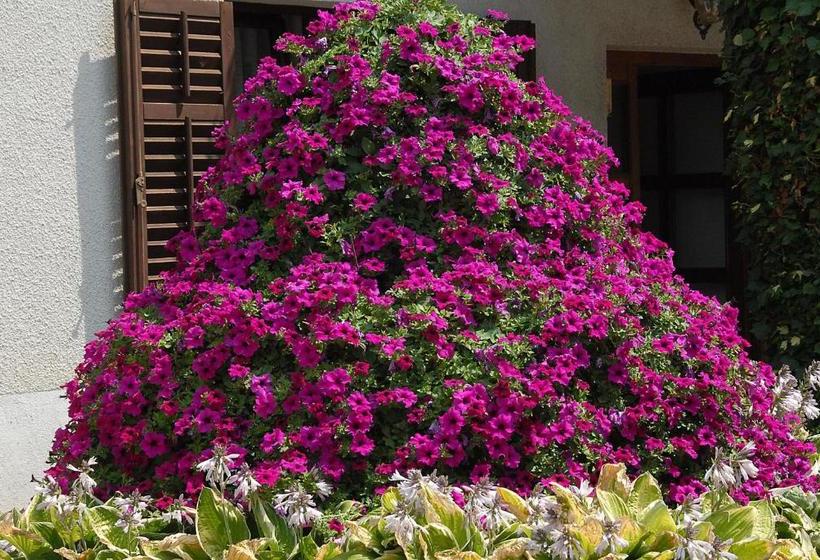 پانسیون Guesthouse Pri štefanu