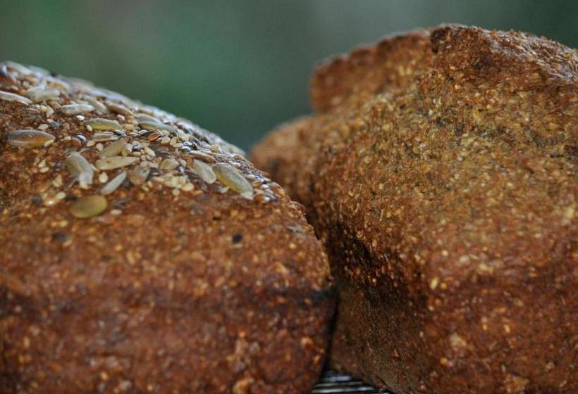 بنسيون Highfield House Guesthouse