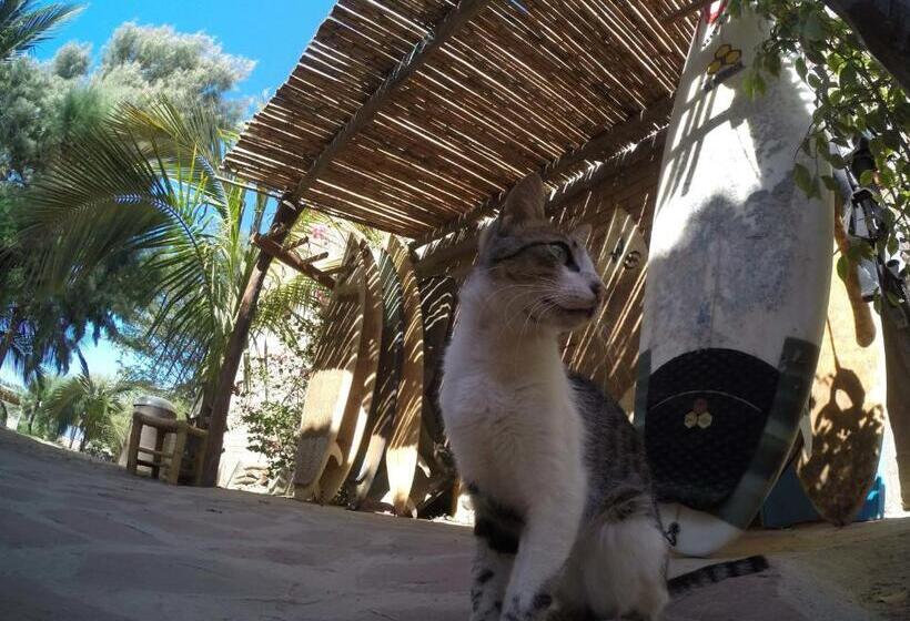 펜션 Hospedaje La Quebrada