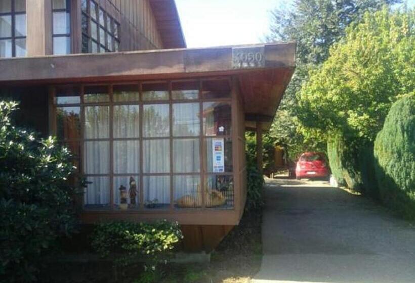 Pension Hostal Kutralwe