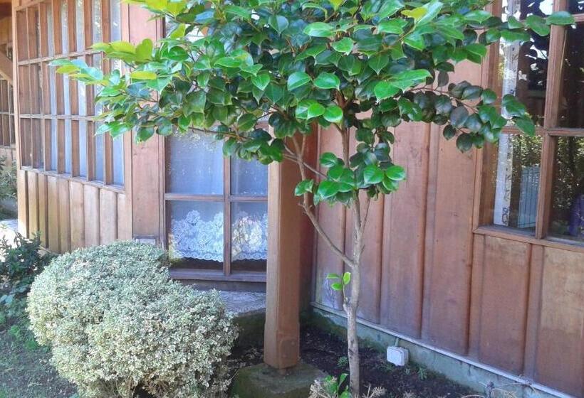 Pension Hostal Kutralwe