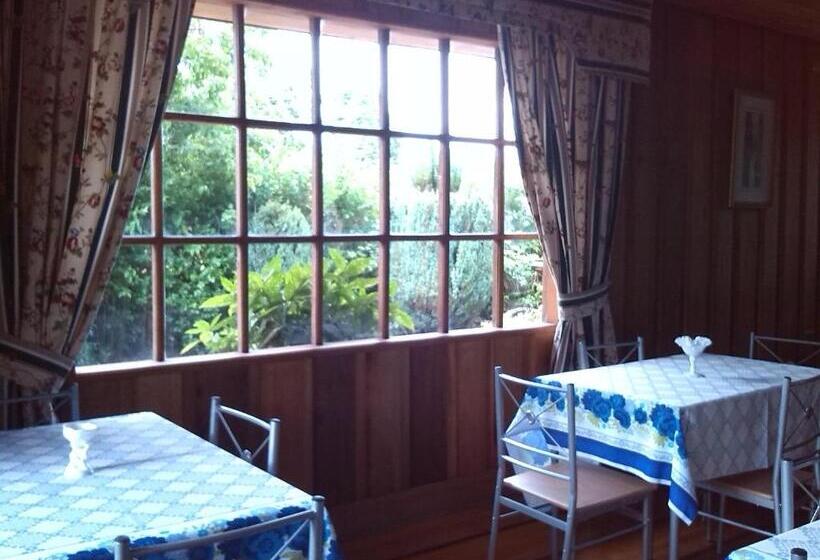 Pension Hostal Kutralwe