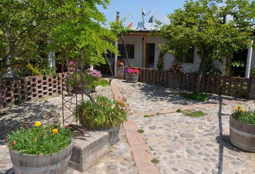 بنسيون Hostal Petit Verdot