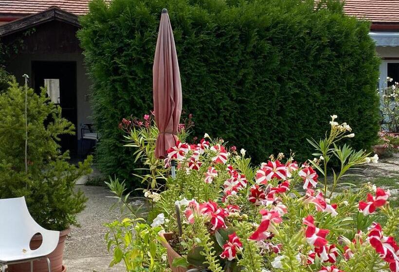 بنسيون Mandula Ház