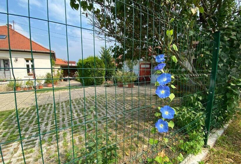 بنسيون Mandula Ház