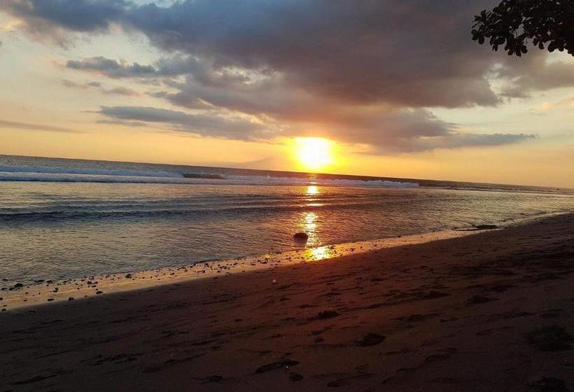 بنسيون Matahari Inn