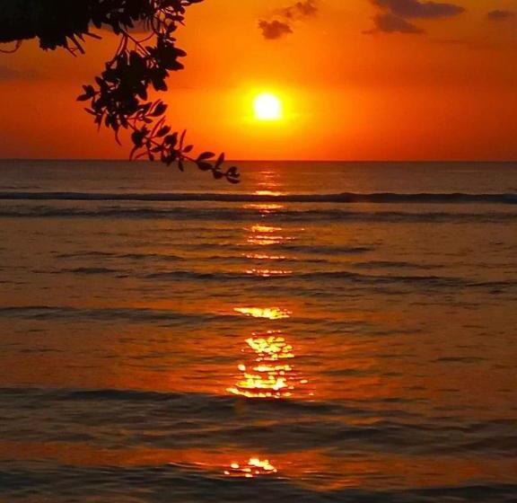 بنسيون Matahari Inn