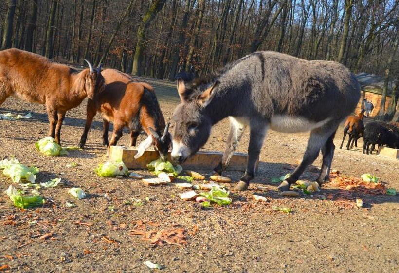 펜션 Penzión Hoffer