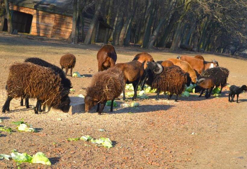 펜션 Penzión Hoffer