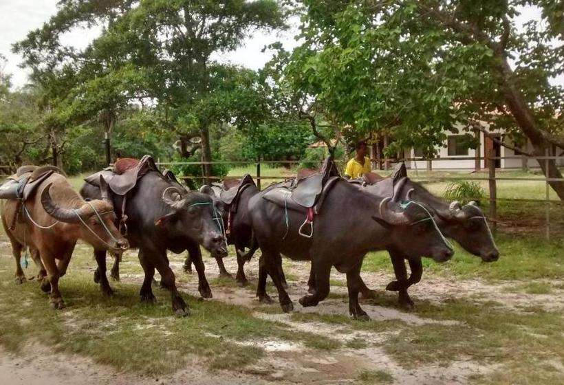 펜션 Pousada Dos Corações