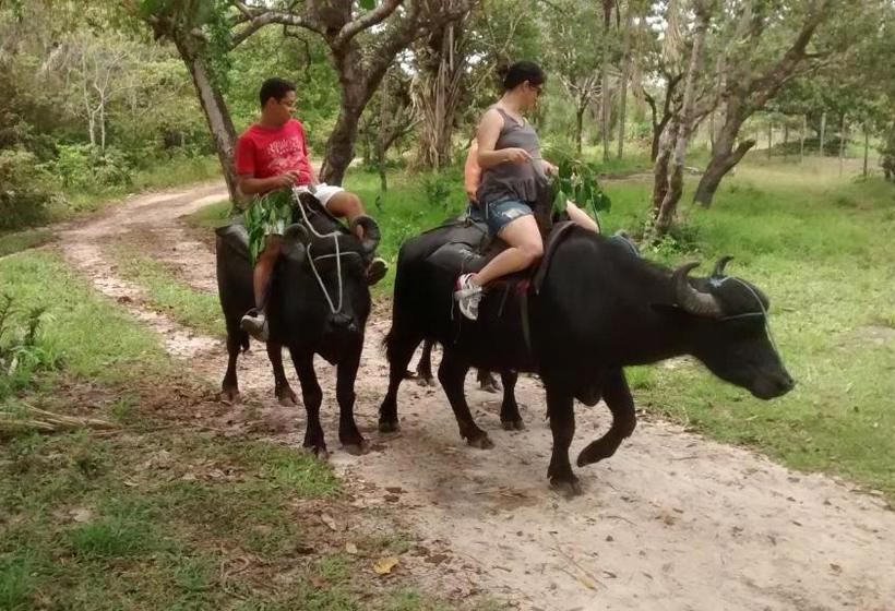 펜션 Pousada Dos Corações