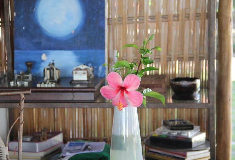 פנסיון Pousada Thai Bungalows Taipu De Fora