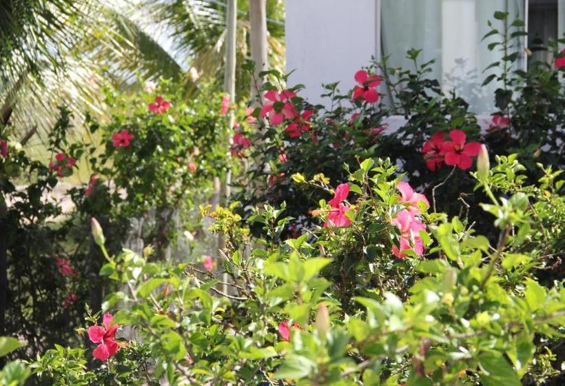 פנסיון Pousada Thai Bungalows Taipu De Fora