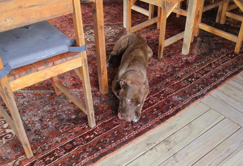 פנסיון Pousada Thai Bungalows Taipu De Fora