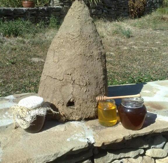 פנסיון Staroto Shkolo House   Rooms For Guests