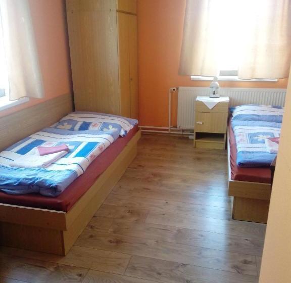 پانسیون Studánecký Medvěd