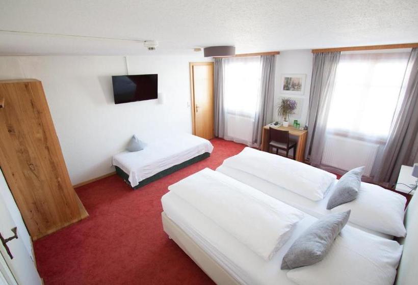 بنسيون Wellenhof Bodensee