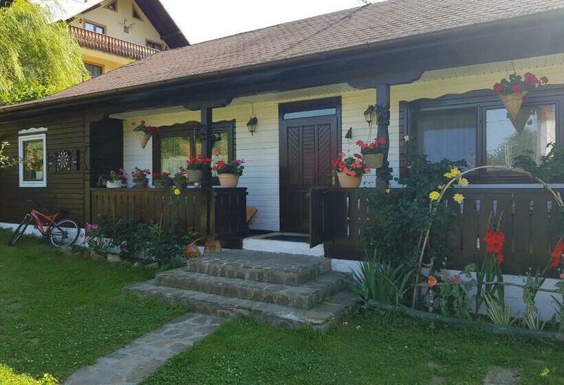 Pensiunea Daria Putna