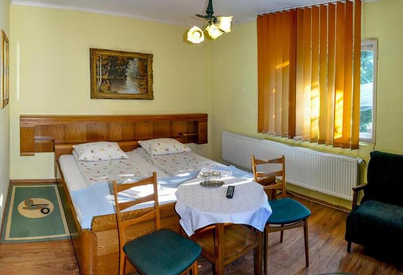 Pensiunea Sub Cetate Deva