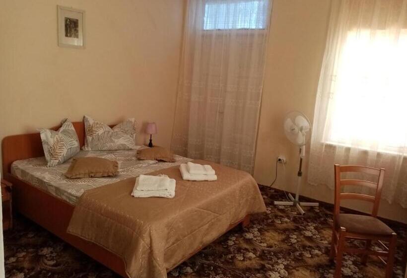 Pensiunea Turistica Visconti