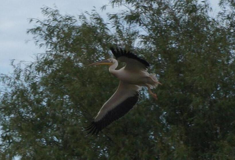 Pensiunea Turistica Visconti
