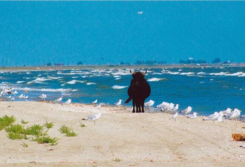 Pensiunea Turistica Visconti