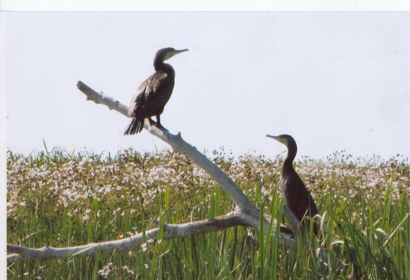 Pensiunea Turistica Visconti