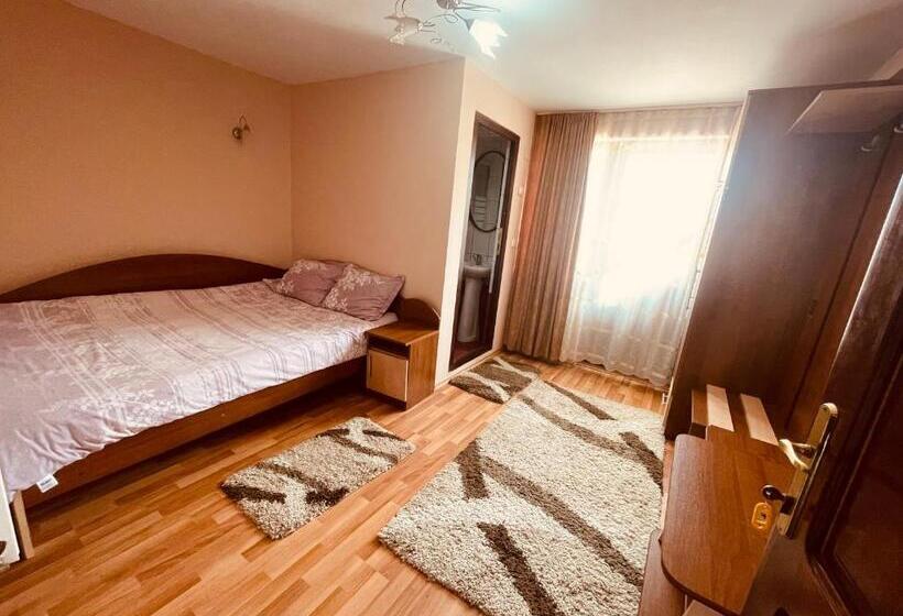 Pensiunea Valea Ursului