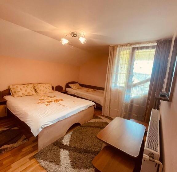 Pensiunea Valea Ursului