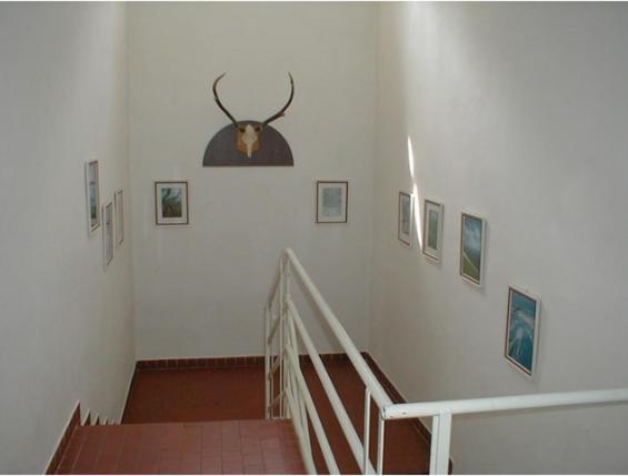 Restaurace A Pension První Mlýn Chomutov