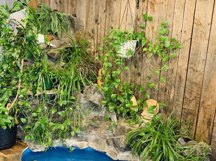 호스텔 Dockside Suites