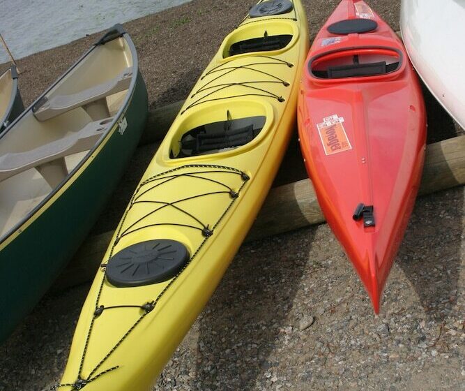 هاستل Dockside Suites