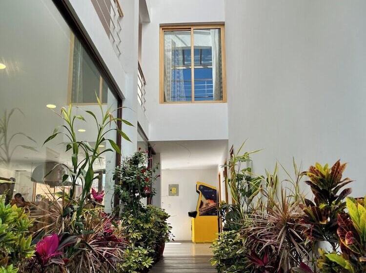 هاستل El Geranio