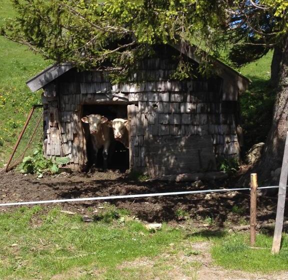 فندق صغير Gasthof Schöntal