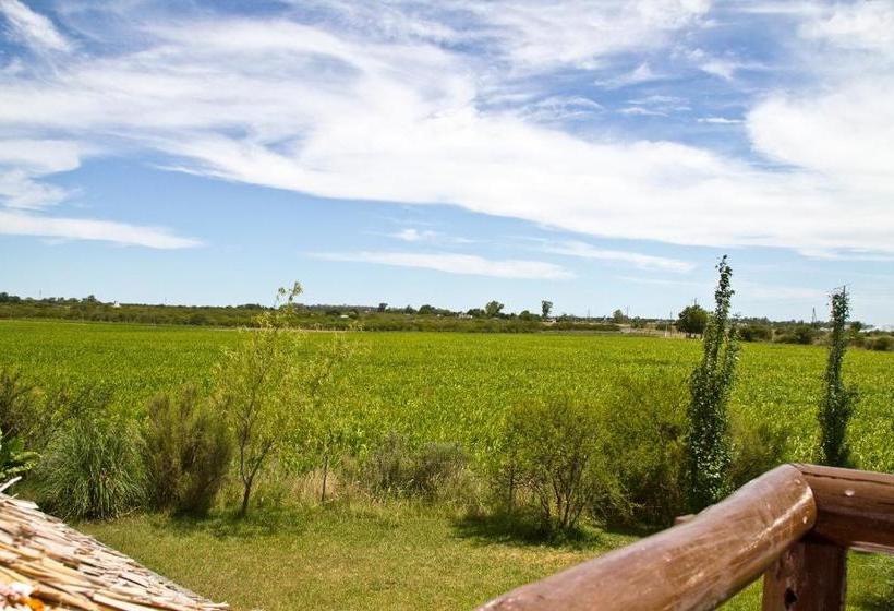 Общежитие Hosteria De Campo Valdemoro