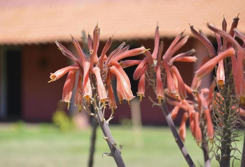 호스텔 Posada Villapancha B&b