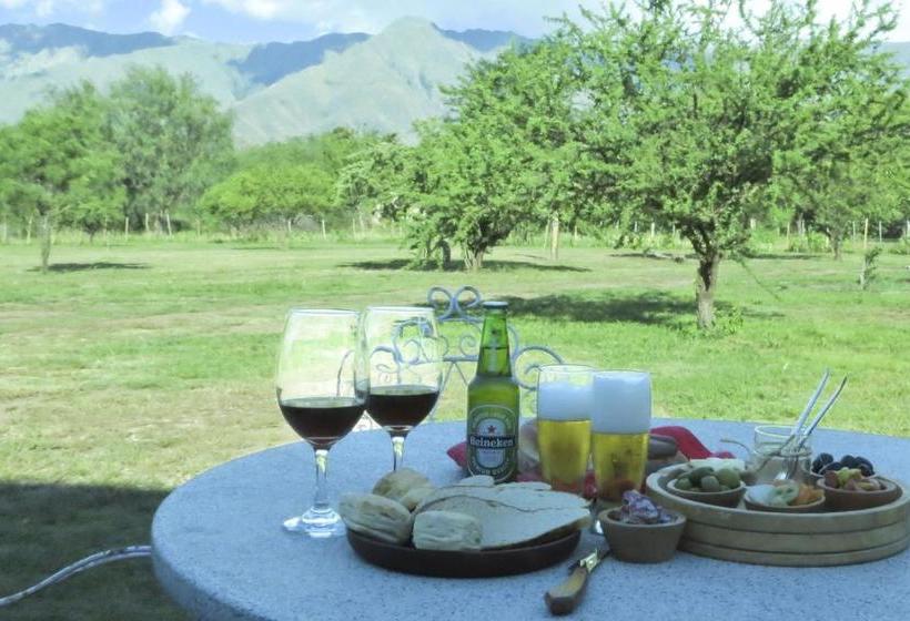 호스텔 Posada Villapancha B&b